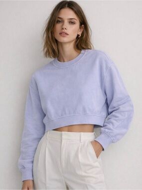 Zara light purple cropped sweatshirt